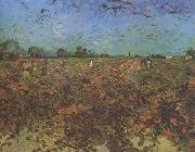 Vincent Van Gogh The Green Vineyard (nn04) Sweden oil painting artist
